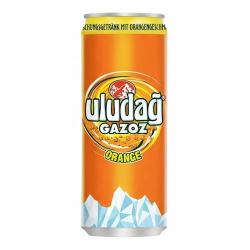 Gazoz Orange 0,33l