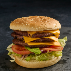 Mega Burger