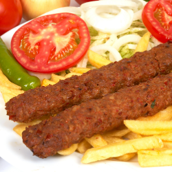 Lamb DonerX