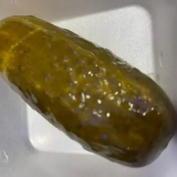Pickled Gherkin