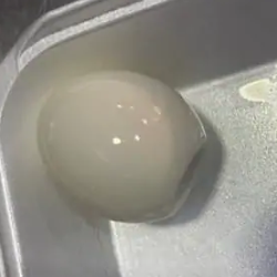 Pickled Egg